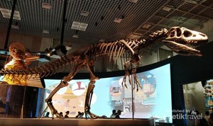 Nimba Ilmu di Museum Alam dan Sains Tokyo