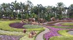 Nong Nooch Village, Taman Warna-warni di Thailand