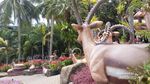 Nong Nooch Village, Taman Warna-warni di Thailand