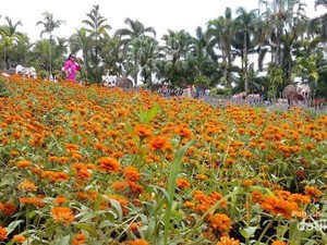 Nong Nooch Village, Taman Warna-warni di Thailand