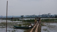 Rawa Pening yang dipenuhi eceng gondok (dok. detikTravel)