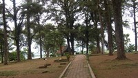 Jalan menuju Rawa Pening (dok. detikTravel)