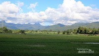 Dari lantai dua, bisa santai sambil menikmati view ini