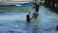 Meraih ranting dan terjun ke air