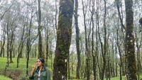 Suasana di tempat ini begitu asri, dingin dan hijau.