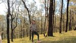 NTT Juga Punya Hutan Pinus Instagramable