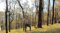 Saat matahari menyinari hutan ini, warna keemasan membuat suasananya begitu sempurna.