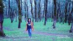 NTT Juga Punya Hutan Pinus Instagramable