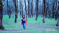 Saat musim hujan tiba suasana di sini begitu adem dan indah