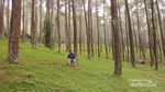 Nuansa Kabut Misterius di Gunung Manglayang, Bandung