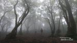 Nuansa Kabut Misterius di Gunung Manglayang, Bandung