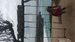 Nusa Lembongan Punya Dream Beach nan Cantik