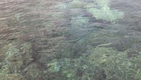 Jernihnya air Nusa Lembongan