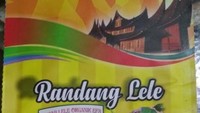 Lele pun jadi rendang