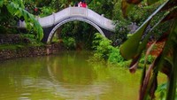 Pengunjung dapat memberi makan ikan-ikan di dalam danau