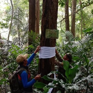 Oase di Tengah Kota Bandung, Tahura Djuanda