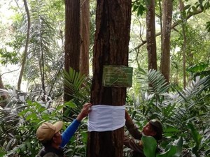 Oase di Tengah Kota Bandung, Tahura Djuanda