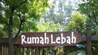 Rumah Lebah digunakan untuk belajar beternak Lebah, cara beternak yang lumayan anti Mainstream.