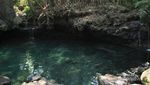 Oase Seperti di Padang pasir Ini Ada di Yogyakarta