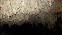 Ornamen stalagtit di Gua Dadapan.