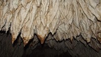 Stalagtit yang masih alami.