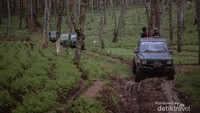 Trek awal Off Road yang menyejukkan mata, kami disuguhi pemandangan alam yang masih sangat asri dan mungkin jarang ditemui di wisata alam di destinasi lainnya.