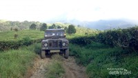Kebun Teh Citeko