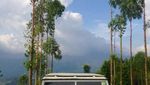Off Road Seru di Royal Safari Garden, Puncak