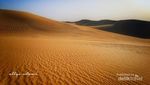 Offroad di Gurun Sahara, Serunya Bukan Main!
