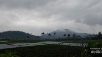 Suasana di sekitar kompleks percandian