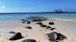 Oh, Indahnya Gili Kondo Lombok Timur!