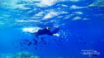 Oh, Indahnya Gili Kondo Lombok Timur!