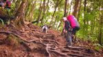 Oh, Indahnya Surya Kencana!