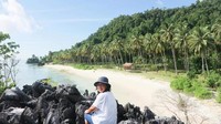 Pantai Pasir Putih dengan deretan pohon kelapa