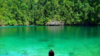 Danau Tobelo yang berair hijau tosca dan dikelilingi hutan