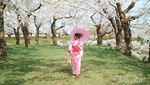 Orang Jepang Punya Tradisi Unik untuk Memaknai Sakura