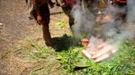 Orang Papua Punya Cara Memasak yang Paling Sehat