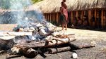 Orang Papua Punya Cara Memasak yang Paling Sehat