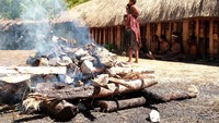 Batu yang akan di gunakan dalam prosesi bakar batu, terlebih dahulu dibakar di atas batang-batang kayu