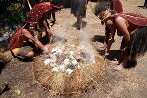 Orang Papua Punya Cara Memasak yang Paling Sehat