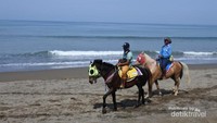 Menyusuri Pantai bisa dengan berkuda, Tarif sewanya hanya 30 ribu