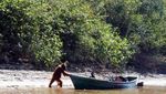 Orangutan Jahil, Ambil Barang Ranger di Perahu
