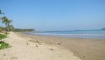 Orkestra Kerbau di Pantai Sumur dan Warung Teh Anyah