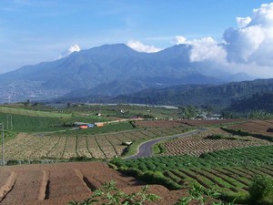 Ortu Pensiun? Ajak Liburan ke 5 Tempat Paling Tenang