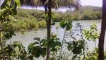 Pacitan Juga Punya Danau Cantik, Telaga Jebengan