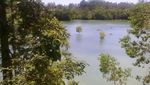 Pacitan Juga Punya Danau Cantik, Telaga Jebengan
