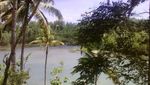 Pacitan Juga Punya Danau Cantik, Telaga Jebengan