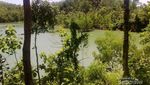 Pacitan Juga Punya Danau Cantik, Telaga Jebengan