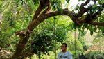 Pacitan yang Asyik untuk Liburan