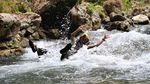 Pacu Adrenalin dengan Cave Tubing Kalisuci, Gunungkidul